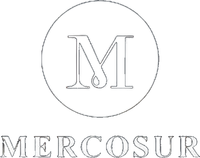 Mercosur — group company